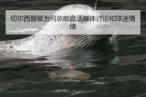 切尔西晋级为何总能盘活媒体讨论和球迷情绪